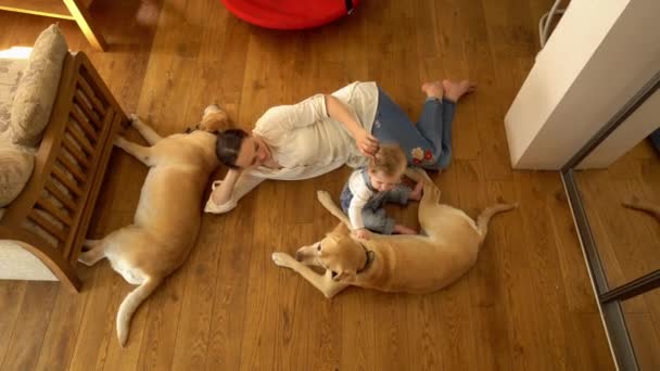 Niñera mujer con dos niños y perros mascotas en el suelo. Disparo de mano — Vídeo de stock