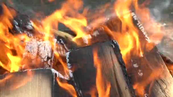 Gros plan de bois de chauffage brûlant lentement avec une flamme de feu orange. Plan au ralenti — Video