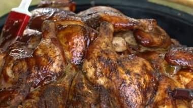 Baharatlı kümes hayvanları ve fırça et üzerinde baharat uygulayın. Izgarada pişirilen tavuk. yavaş çekim