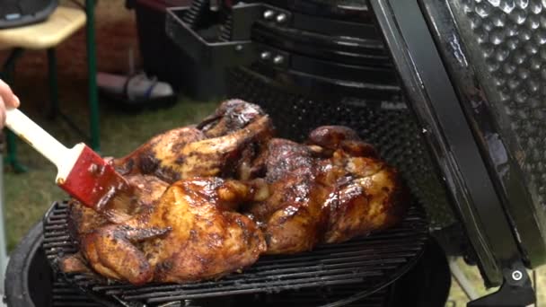 Chef-kok handen verf hele kip met Spice Brush op grill. Slow Motion-opname — Stockvideo