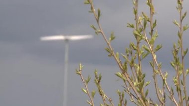 Rüzgar türbini jeneratörü ve bahar ağacı dalları. Statik odak değişimi çekimi