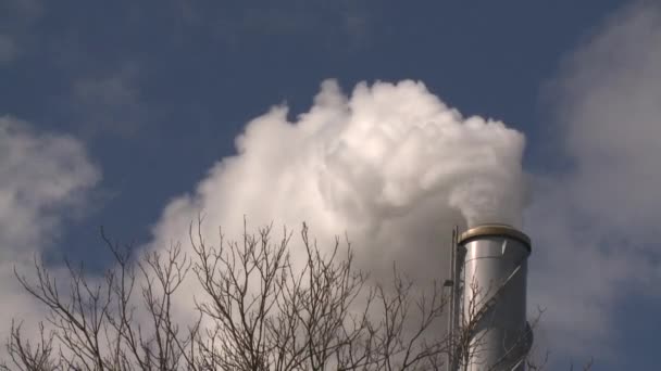 Chimney exhaust smoke on sky background. Trees without leaves. Static shot — Stock Video