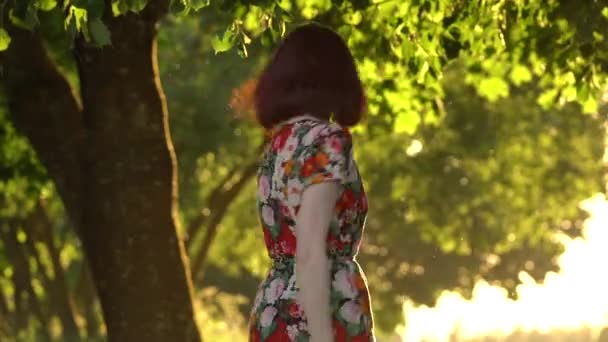 Attraente ragazza girare intorno alla luce del tramonto nel parco. Colpo statico — Video Stock