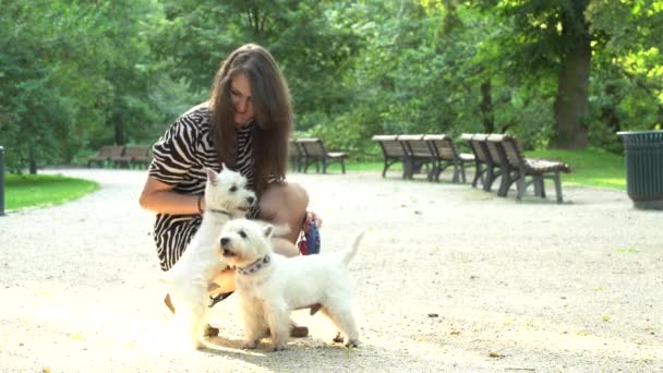 Щасливий власник собаки пестить домашніх тварин і посміхається дивитися на камеру — стокове відео