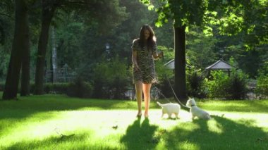 İki beyaz yavru köpek evcil hayvan kadın kız sahibi ile bir yürüyüş var. Statik çekim