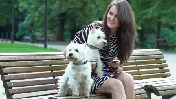 Šťastná ženská chůva sedí na lavičce se dvěma pejsky. Statická střela. — Stock video