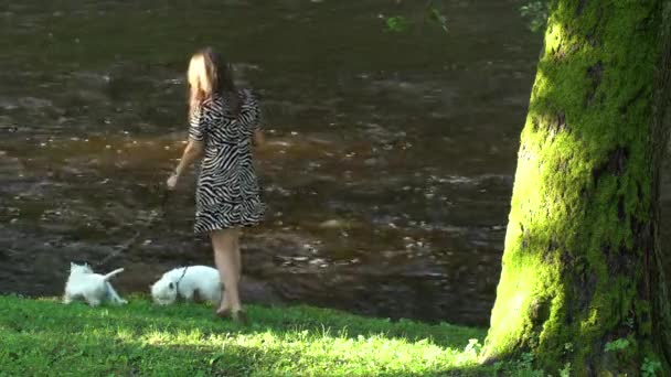 Κορίτσι με δύο σκυλιά κατοικίδια έχουν μια βόλτα κοντά στο ποτάμι το καλοκαίρι. Στατικός πυροβολισμός. — Αρχείο Βίντεο
