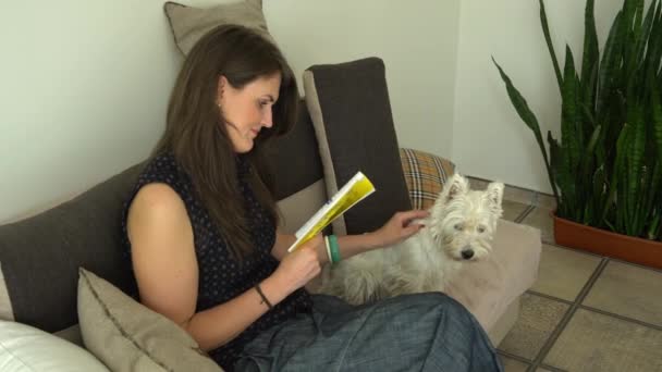 Γυναίκα διαβάσει περιοδικό και το σκυλί χάδια, ενώ περιμένει στο κομμωτήριο κατοικίδιων ζώων — Αρχείο Βίντεο