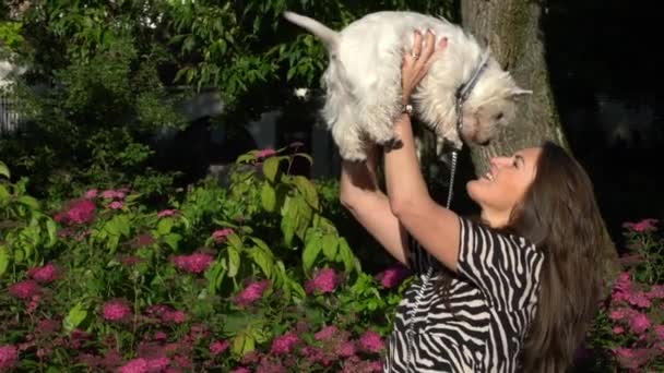 Mujer levantar su lindo perrito en el aire y mostrar emociones positivas. Movimiento lento . — Vídeo de stock