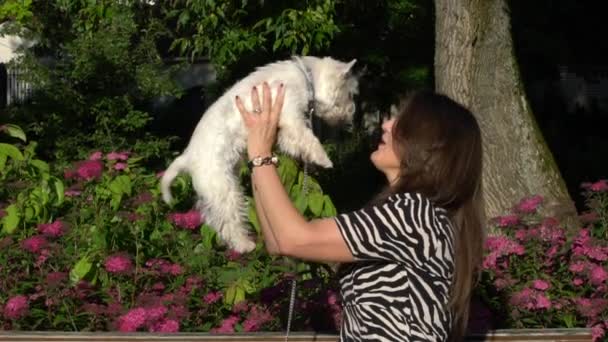 Жінка виховує милого щенячого собаку в повітрі. Повільний постріл — стокове відео