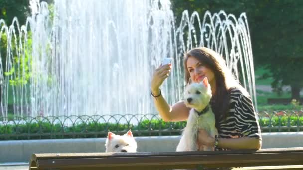 Pose femenina para selfie con dos perros lindos mascotas cerca de la fuente del parque. cámara lenta — Vídeos de Stock