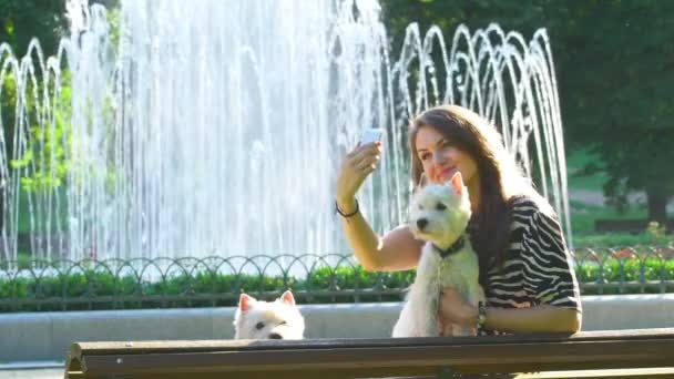 Park çeşmesi yakınında iki sevimli köpek evcil hayvan ile selfie için kadın poz. yavaş çekim — Stok video