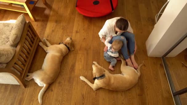 Mujer acostada en el suelo con su hijo pequeño y dos mejores amigos perros. De mano — Vídeos de Stock