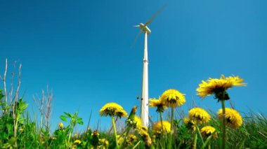 Alternatif rüzgar enerjisi jeneratör türbini ve sarı karahindiba çiçekleri