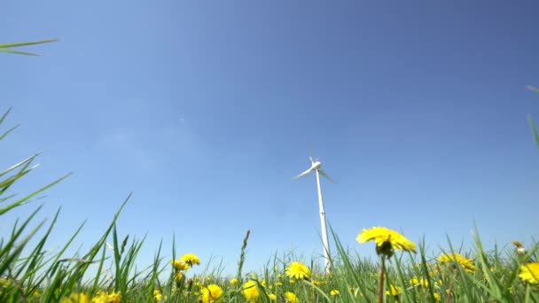 Turbina generadora de energía eólica y flores de diente de león amarillo se mueven en el viento — Vídeo de stock