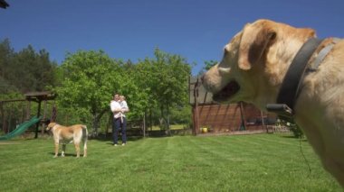 İki köpek ve çocuklu aile babası kadın birlikte vakit geçirirler. El çekimi