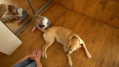 Küçük çocuk büyük köpek masalı ve kürk ve anne oğlu bakmak ile oynamak. Statik çekim
