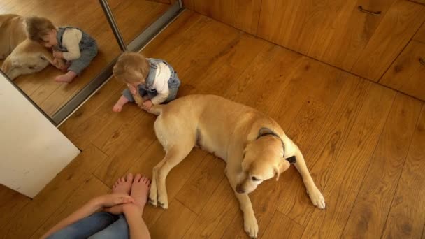 Küçük çocuk büyük köpek masalı ve kürk ve anne oğlu bakmak ile oynamak. Statik çekim — Stok video