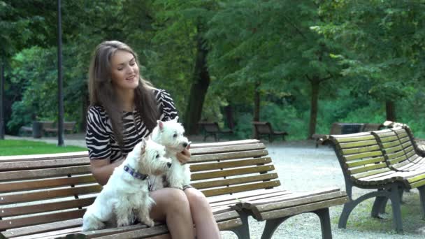 ベンチで自分撮りをしている2匹の白いテリア犬を持つ女性。静的ショット. — ストック動画