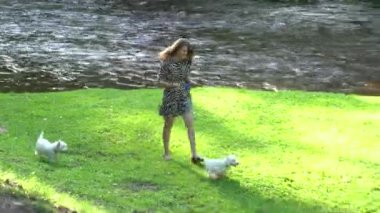 İki evcil köpeği olan kadın parkta nehrin yanında yürüyor. El kamerasıyla..