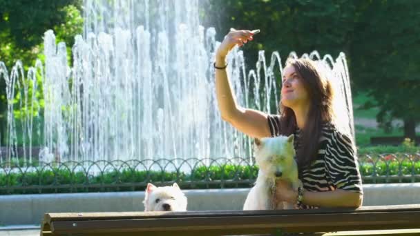 Wanita dengan dua anjing terrier putih melakukan selfie di bangku taman. gerak lambat — Stok Video