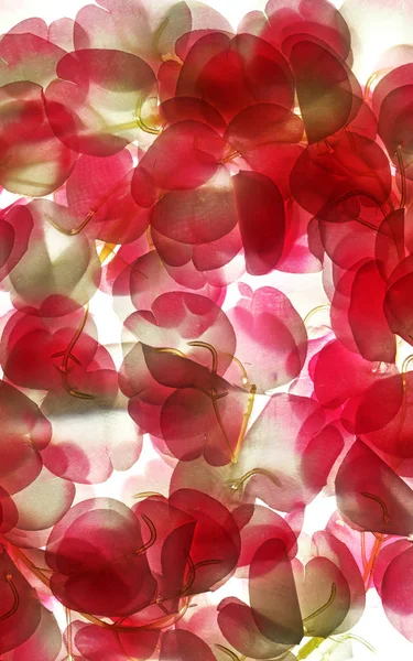 Abstract  horizontal background - fabric flowers in transparency — Stock Photo, Image
