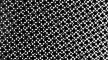 Geçmişe dönük soyut arkaplan. Noktalı ekranların gerçek videosu. Beyaz ve siyah