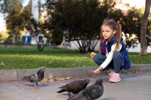 Fille Mignonne Nourrir Des Pigeons Dans Parc Image En Vente