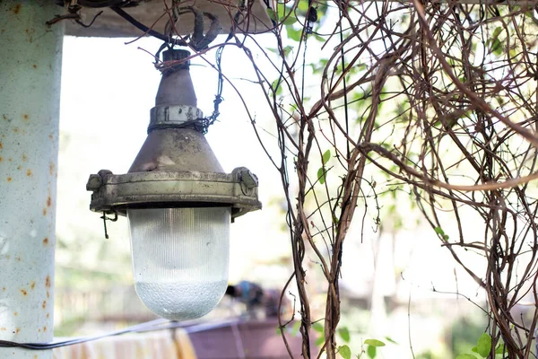 vintage rarity lantern with a large hanging lamp in the garden