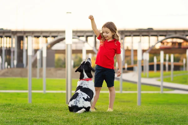 Girl walks with a dog