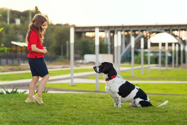 Girl walks with a dog