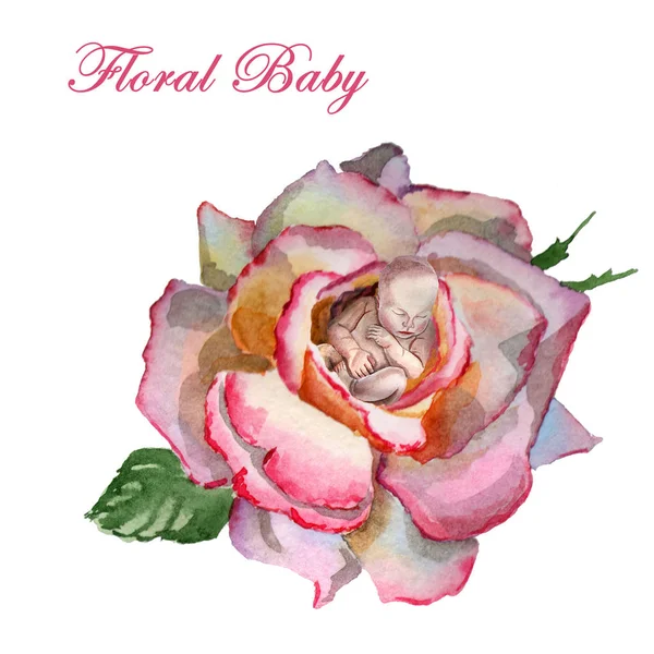 Watercolor újszülött alvó baba virágos keretben — Stock Fotó