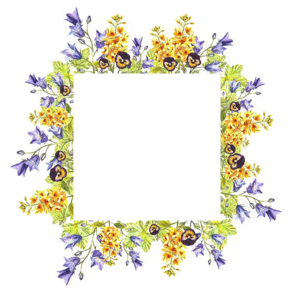 Acuarela marco cuadrado de eremurus, campanas azules, hojas, violetas púrpuras —  Fotos de Stock