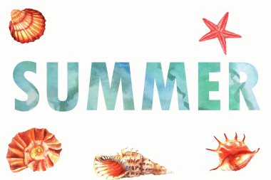 Yazıt yaz ile balıklar ve kabukları ile Suluboya yaz arka plan