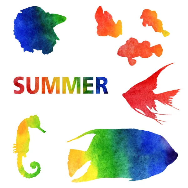 Ilustración de verano acuarela. Conjunto de peces arco iris pintados a mano —  Fotos de Stock