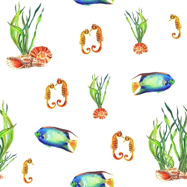 Aquarelle motif sans couture de l'eau-plante, coquillages, Hippocampe, Pomacanthus — Photo