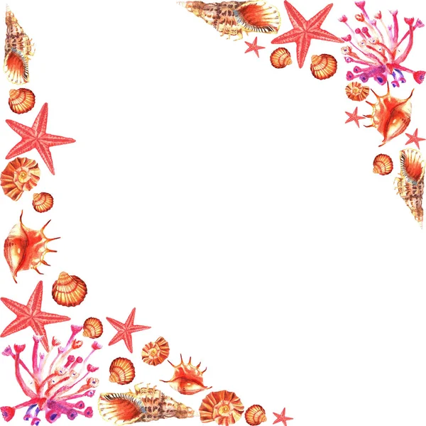 Акварель з рожевих коралів, мушлі, морська зірка — стокове фото