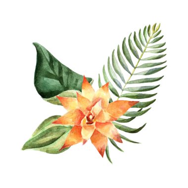 Tropikal çiçekler ile suluboya parlak yaz illüstrasyon