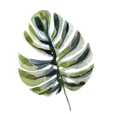 Tropikal çiçekler ile suluboya parlak yaz illüstrasyon