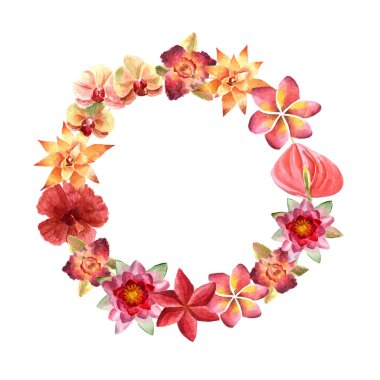 Tropikal çiçekler ile suluboya parlak yaz illüstrasyon