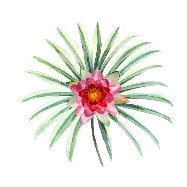 Akwarela jasna letnia ilustracja z tropikalnymi kwiatami — Zdjęcie stockowe
