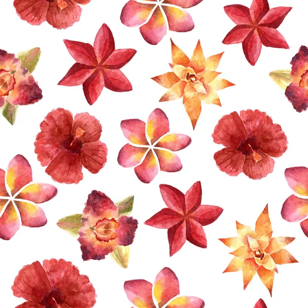 Υδατογραφικά φωτεινό καλοκαιρινό εικονογράφηση με τροπικά λουλούδια — Φωτογραφία Αρχείου