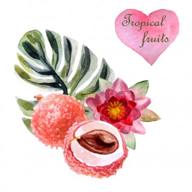 Beyaz arka plan üzerinde lychee ile suluboya tropikal illüstrasyon
