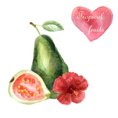 Beyaz arka planda avokado ile suluboya tropikal illüstrasyon