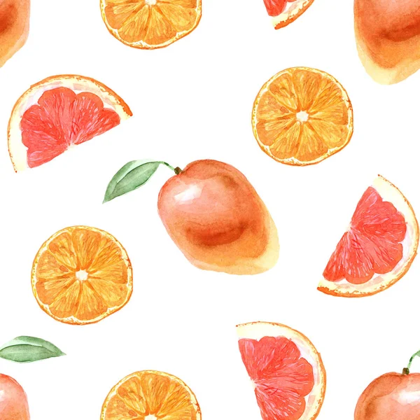 Aquarelle motif tropical avec orange sur fond blanc — Photo