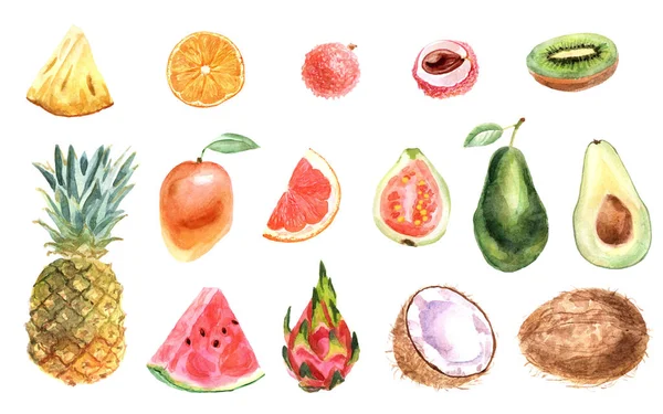 Acquerello tropicale insieme di frutta su sfondo bianco — Foto Stock
