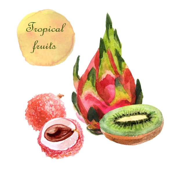 Illustrazione tropicale ad acquerello con frutti su sfondo bianco — Foto Stock