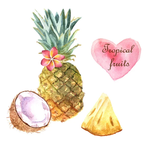 Illustrazione tropicale ad acquerello con ananas e cocco su sfondo bianco — Foto Stock