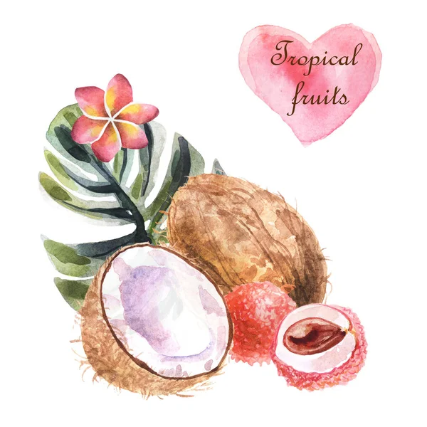 Watercolor tropical illustration with coconut and palm leaf on white background