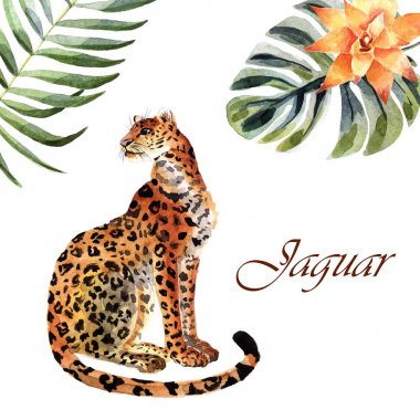 Beyaz bir arka planda izole suluboya Jaguar